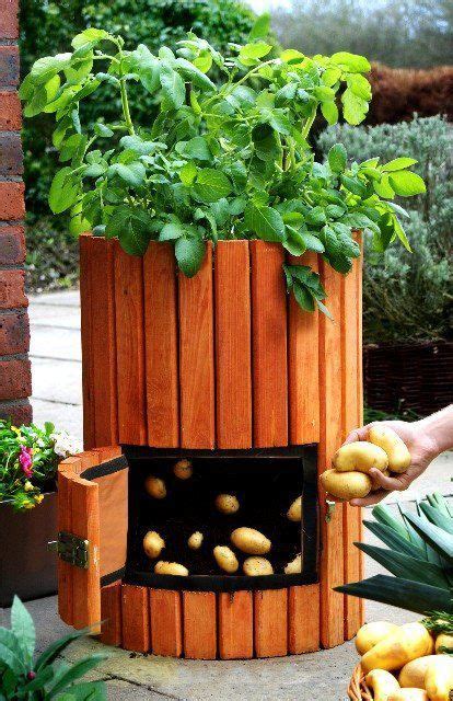 For The Terrace Growing Potatoes In A Barreltower From Greenbuildtv