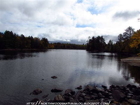 Northwoods Nature Blog More Lake Of The Falls In The Fall