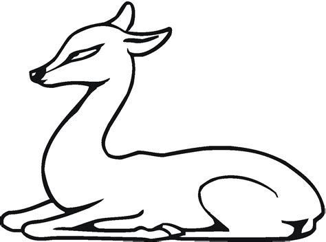 Fawn coloring page art starts deer pages. Baby Deer Coloring Page - Coloring Home