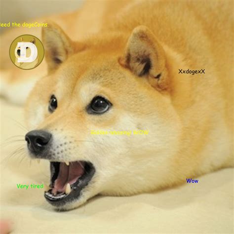 Mlg Doge Wallpaper Posted By Michelle Tremblay