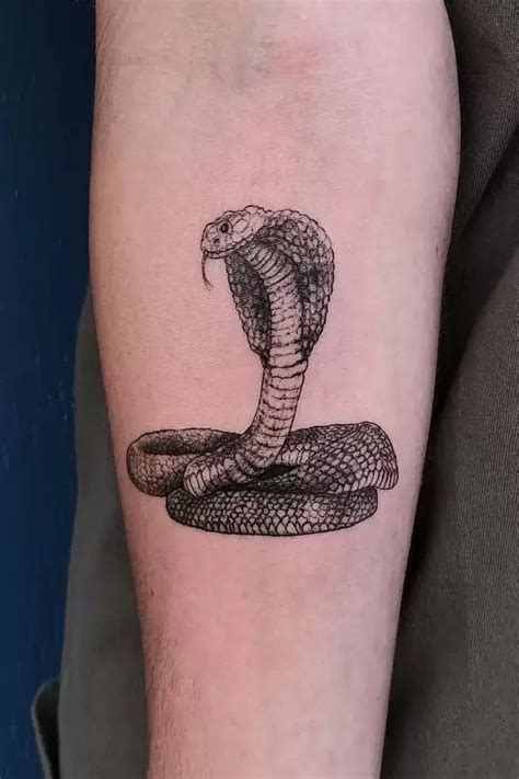 Aggregate More Than 71 American Traditional Cobra Tattoo Latest In