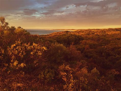 Best Bush Camping Yorke Peninsula