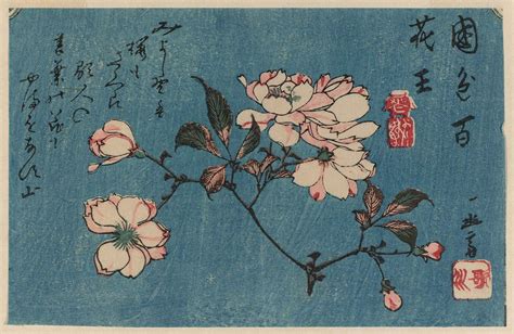 Cherry Blossoms Hiroshige Cherry Blossom Art Antique Art Prints