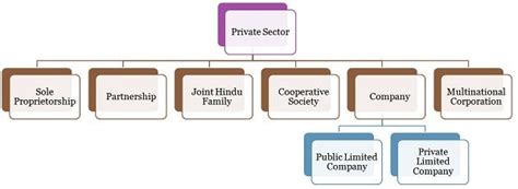 Private Sector Companies