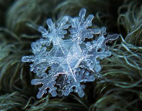 Macro Photos Of Snowflakes Reveal Impossibly Perfect Designs Macro