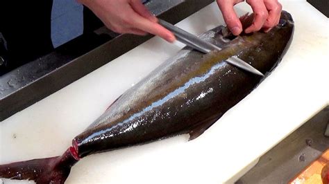 일본 스시집에 가면 꼭 먹어야할 생선 Fillet Amberjack For Sashimi Youtube