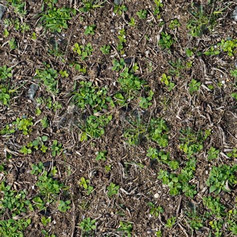 Soil With The Sprouted Grass Texture Seamless Stock Photo Image Of