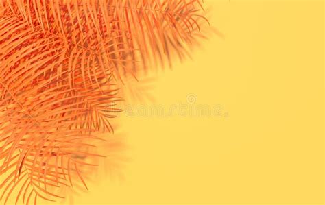 Tropical Palm Leaves Background Summer Tropical Leaf Stock