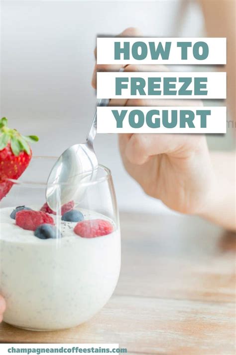 How To Freeze Yogurt In Easy Steps
