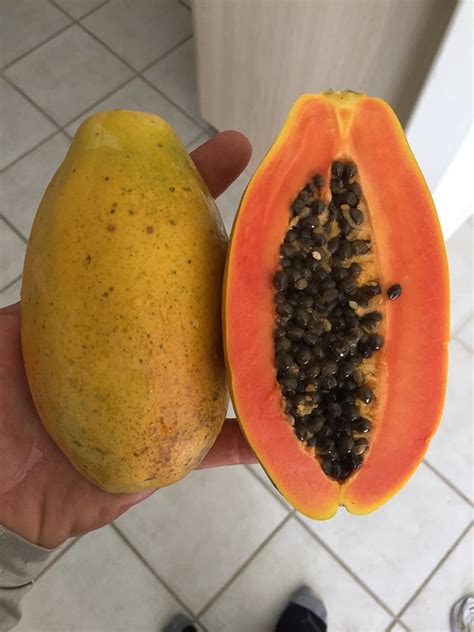 Gmo Papayasolo Papayas In Florida