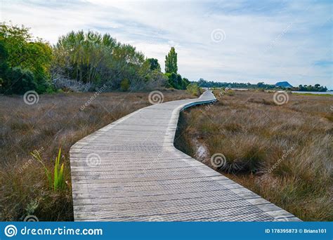 Wooden Walkway Through Wetlands Stock Image Image Of Coastal