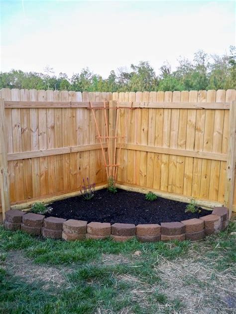 Start a flower bed from seed to save money, raise unusual varieties and enjoy the satisfaction of having grown a whole garden from a handful of tiny seeds. 50+ Backyard Privacy Fence Landscaping Low-Budget Ideas ...