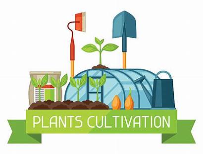 Agriculture Greenhouse Cultivation Plants Illustration Vector Instruments