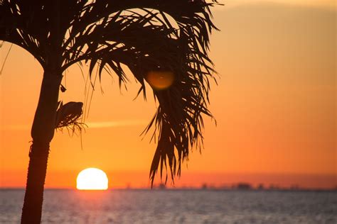 500 Stunning Tropical Sunset Pictures Hd Download Free Images On Unsplash