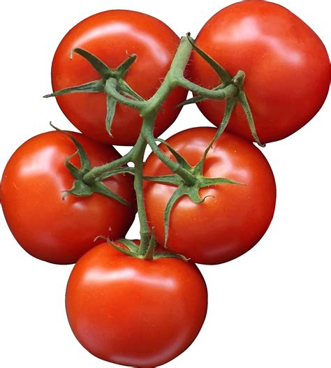 Cherry Tomato Clip Art Tomato Png Download 24212400 Free