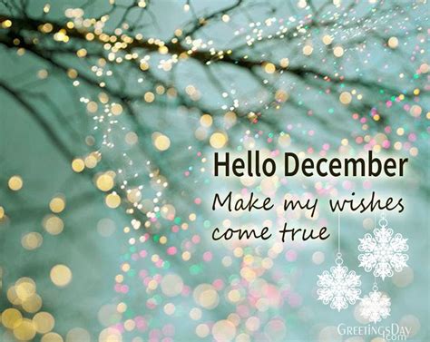 Everyday Greetings Hello December Greeting Cards Pics