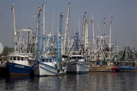 Free Images Sea Coast Dock Boat Vehicle Mast Seafood Bay