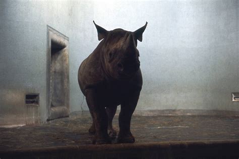 Brilliant Pictures Of A Trip To London Zoo In 1967