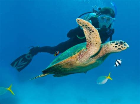 Best Islands For Scuba Diving Travel Channel Travel