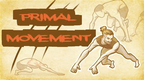 Animal Flow And Primal Movement Youtube