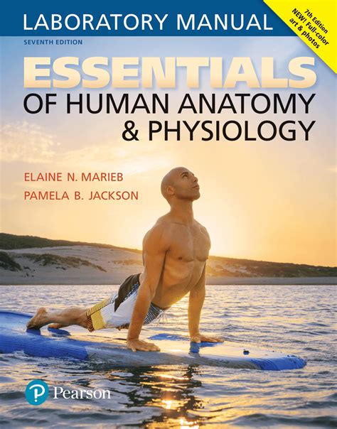 Marieb And Keller Essentials Of Human Anatomy And Physiology 12th Edition
