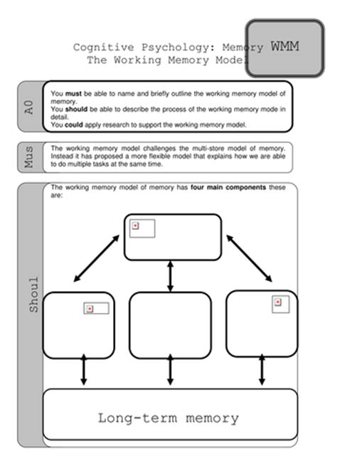 Working Memory Activity Teaching Resources