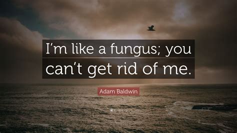 Adam Baldwin Quote Im Like A Fungus You Cant Get Rid Of Me