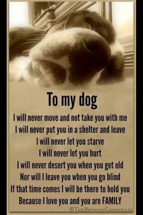 423 Best Pet Remembrance Images In 2020 Pet Remembrance Dog Quotes