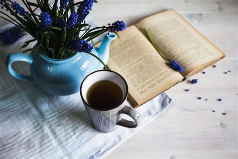 Five Perfect Books To Read While Drinking Your Tea Avt