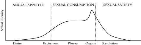 1 The Human Sexual Response Cycle Download Scientific Diagram