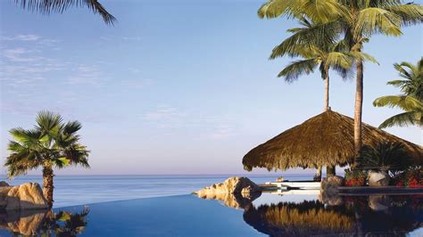 Swimming Pool Resort Palm Trees Caribbean Sea Flowers