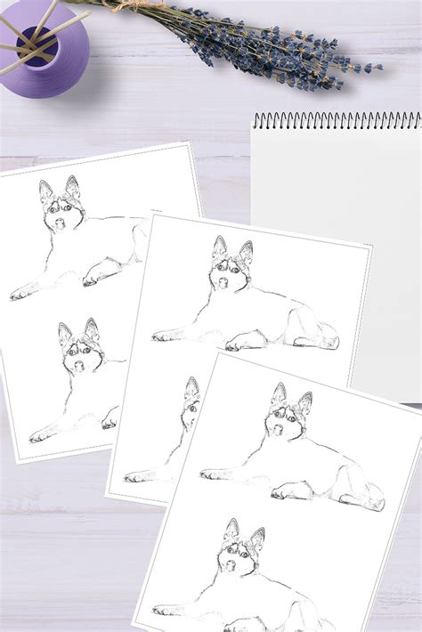 dog coloring pages - how to draw | findpea.com