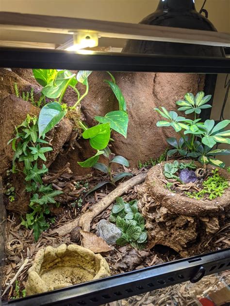Ive Been Working On These Terrarium For My Snakes For The Last 2 Months