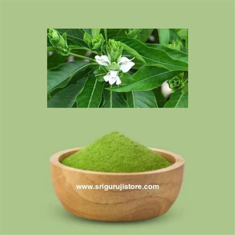 Adathoda Powder Adhatoda Vasica Leaves Powder At Rs 175 Piece