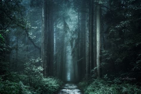 3840x2560 Dark Footbridge Forest Mystical Nature Path Route