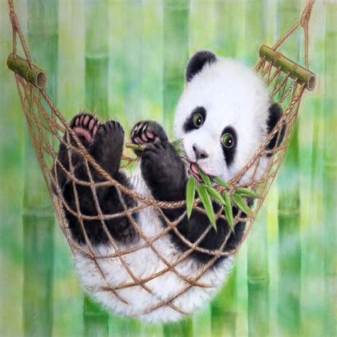 Baby Panda In Hammock Diamond Painting Kit With Free Shipping 5d