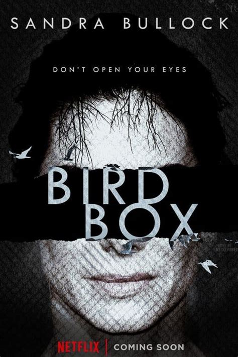 Watch bird box 2018 full movie online 123movies go123movies. Bird Box~Film'Complet en français en Ligne | stream ...