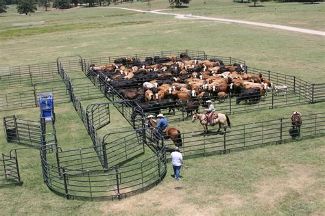 Premier Corral At With Images Cattle Corrals Cattle