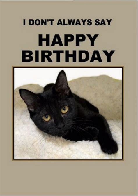 Found On Bing Cat Birthday Birthday Humor Cat Birthday Funny