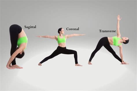 The Three Anatomical Body Planes And Movements Sagittal Coronal
