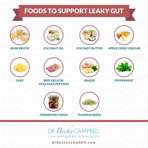 The Leaky Gut Autoimmune Disease Connection Dr Becky Campbell Thyroid
