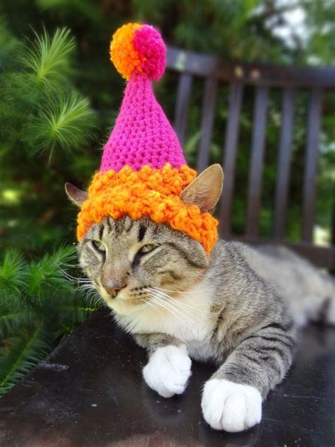 Pet Birthday Hats Crocheted Dog Or Cat Birthday Party Hats Pet Hats