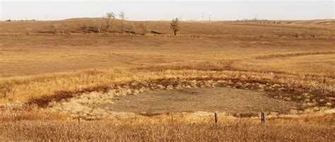 Grasslands In Peril In The Midwest The Wildlife Society