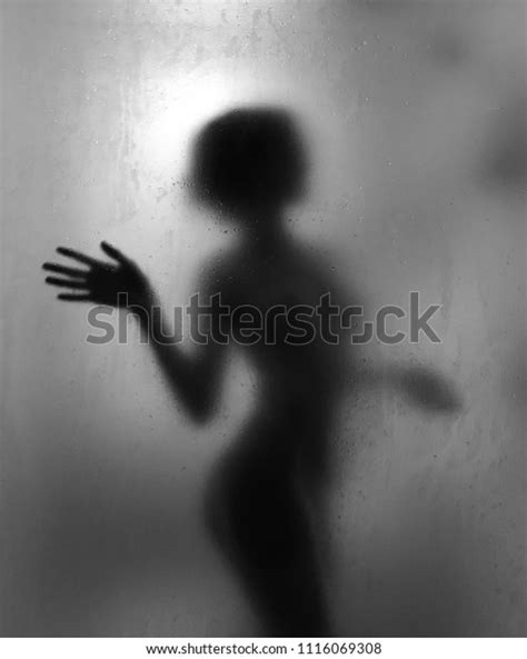 Black White Woman Silhouette Beautiful Woman Stock Photo Edit Now