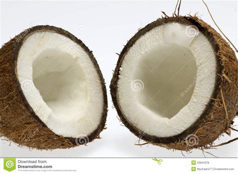 Half Of Coconut With White Core Stock Photo Image Of Tropical Core