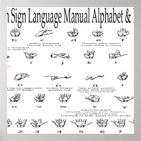 American Sign Language Asl Alphabet Andnumbers Chart Poster Zazzle