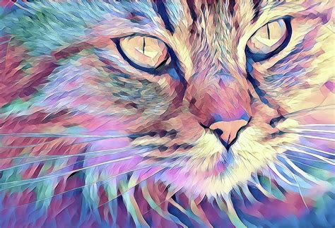 Mystical Magical Cat Digital Art By Terry Davis Fine Art America