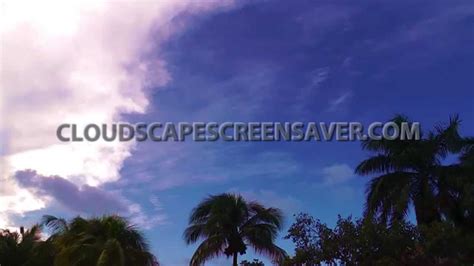 Tropical Sky Live Animated Screensaver Full Hd 1080p Youtube