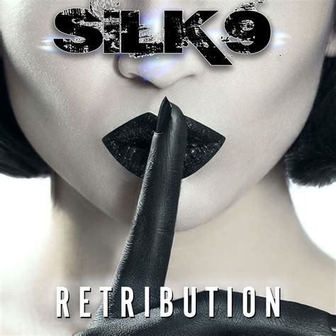 heavy paradise the paradise of melodic rock review silk9 retribution 2017