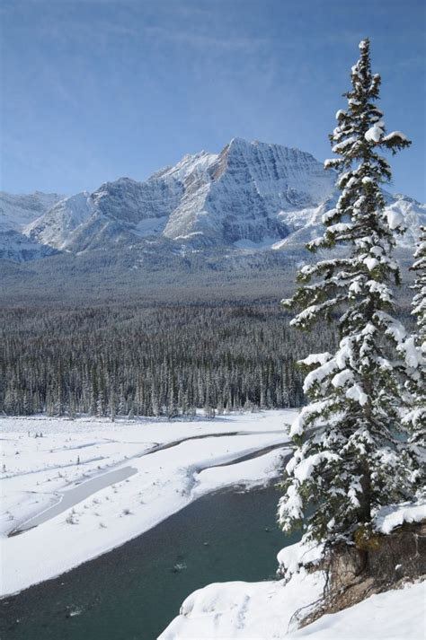 The Athabasca River And The Canadian Rockies Along The Icefields